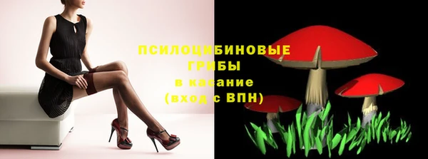 ПСИЛОЦИБИНОВЫЕ ГРИБЫ Абинск