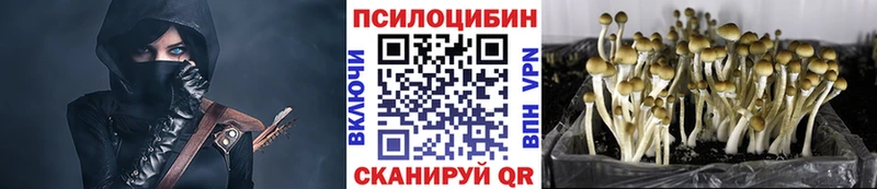 Галлюциногенные грибы мицелий  Нерчинск 